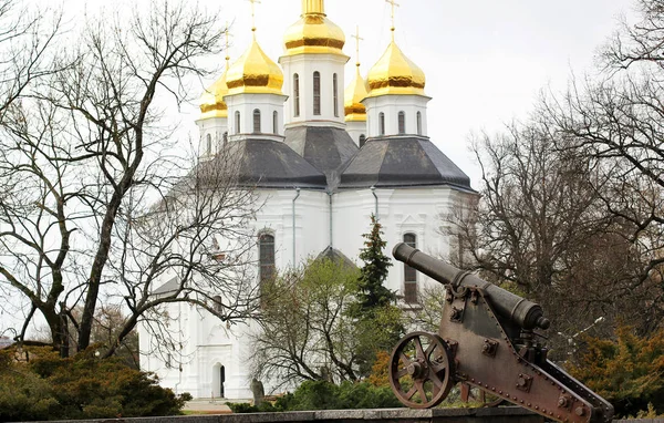 Kostel Korunách Stromů Kostel Starý Kostel Černigov — Stock fotografie