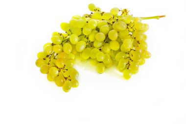 Meyve. Beyaz bir arka plan üzerinde üzüm