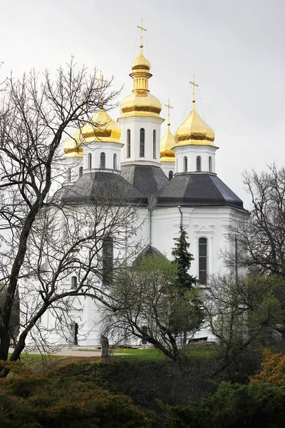 Kyrkan i träden. Kyrkan. Gamla kyrkan i Chernigov. — Stockfoto