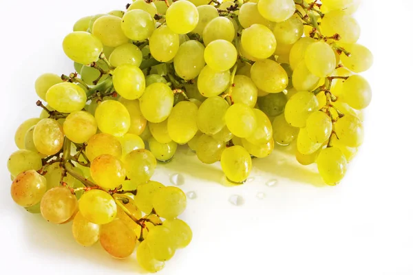 白色背景下的葡萄 — 图库照片