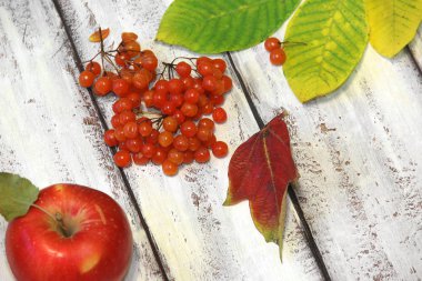 Ahşap bir arka planda sonbahar kompozisyonu. Elma, viburum ve yapraklar.