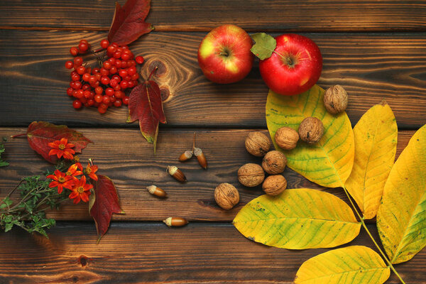 Autumn composition on a wooden background. Apples, viburnum, leaves and flowers.