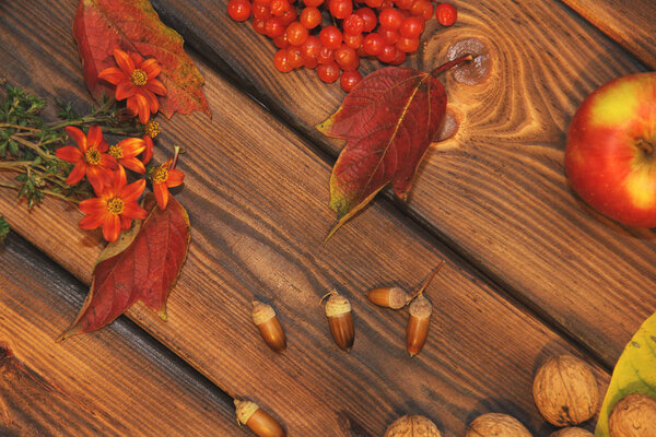 Autumn composition on a wooden background. Apples, nuts, leaves and flowers