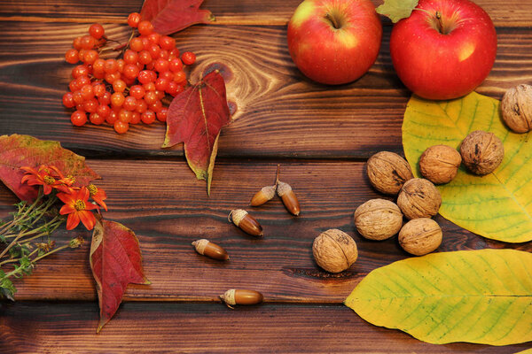 Autumn composition on a wooden background. Apples, viburnum, leaves and flowers