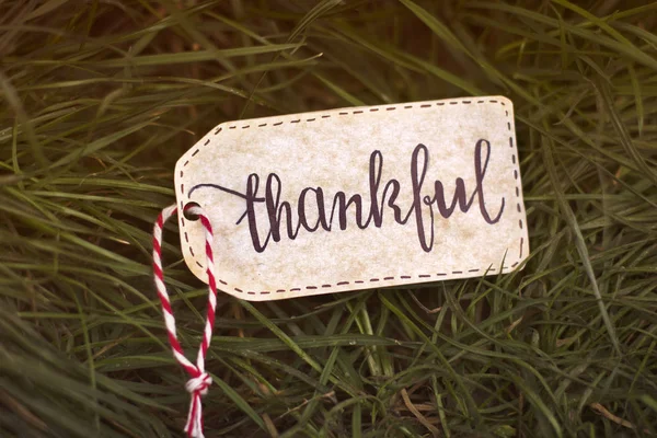 Napis "Wdzięczny" na tle trawy. Święto Dziękczynienia — Zdjęcie stockowe