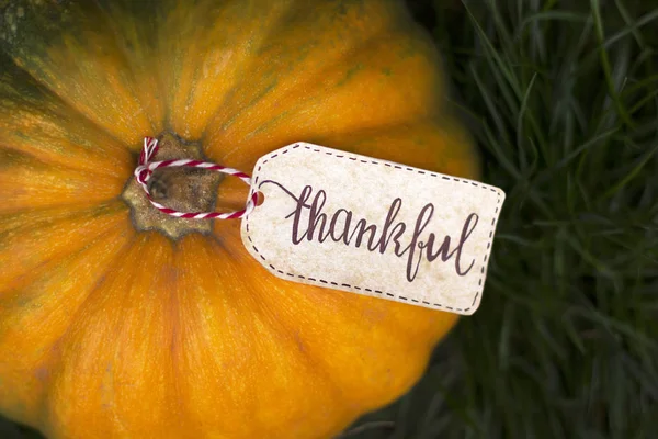 L'inscription "Merci" sur la citrouille. Jour de Thanksgiving — Photo