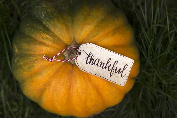 L'inscription "Merci" sur la citrouille. Jour de Thanksgiving — Photo