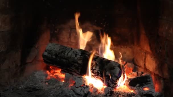 Fuego Arde Chimenea — Vídeo de stock