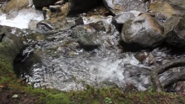  Dağlarda bir ormanda şelale