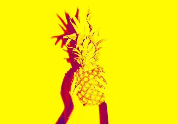 Eine Ananas. Ananas Illustration. Abstrakte Illustration. gelb — Stockfoto