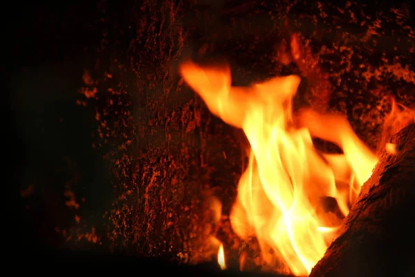 Дерево горить. Вогонь у котлі . — стокове фото