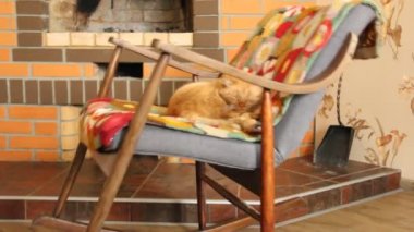 Kedi şöminenin arka planında sallanan bir sandalyede uyuyor.
