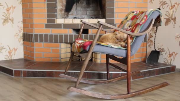 Gatto Dorme Una Sedia Dondolo Sullo Sfondo Del Camino — Video Stock