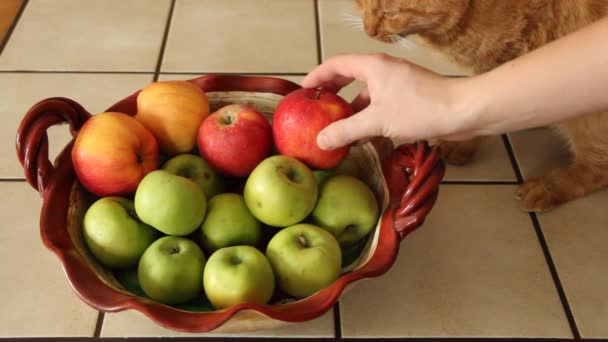 Mão Põe Maçãs Uma Chapa — Vídeo de Stock