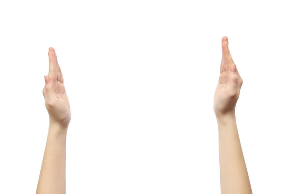 Руки Білому Тлі Жіночі Руки — стокове фото