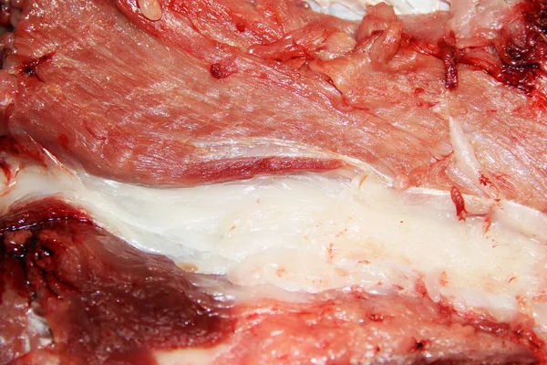 Świeże Mięso Mięso Tłuste Zbliżenie Kości Wieprzowina Kontekst — Zdjęcie stockowe