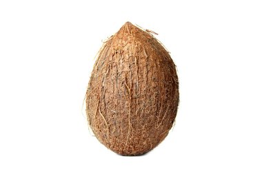 Beyaz arka planda hindistan cevizi. Hindistan cevizini kapat.