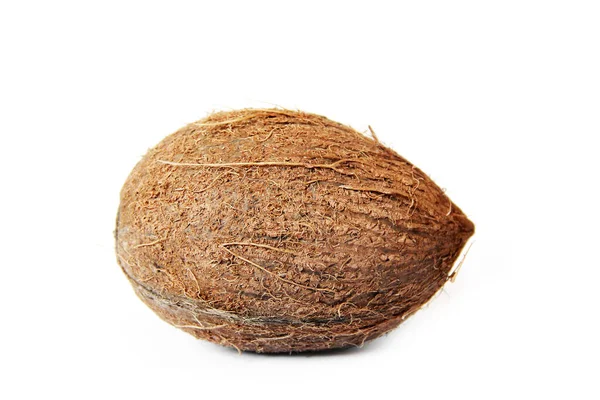 Coconut White Background Coconut Close — Stock Photo, Image