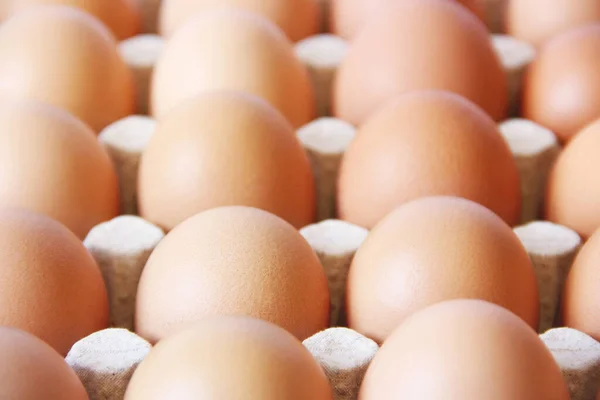 Предыстория Яиц Яйца Закрываются Еда — стоковое фото