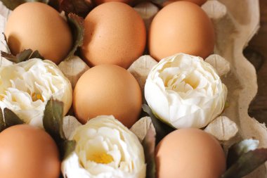 Yumurta ve çiçekler tepside. Arkaplan