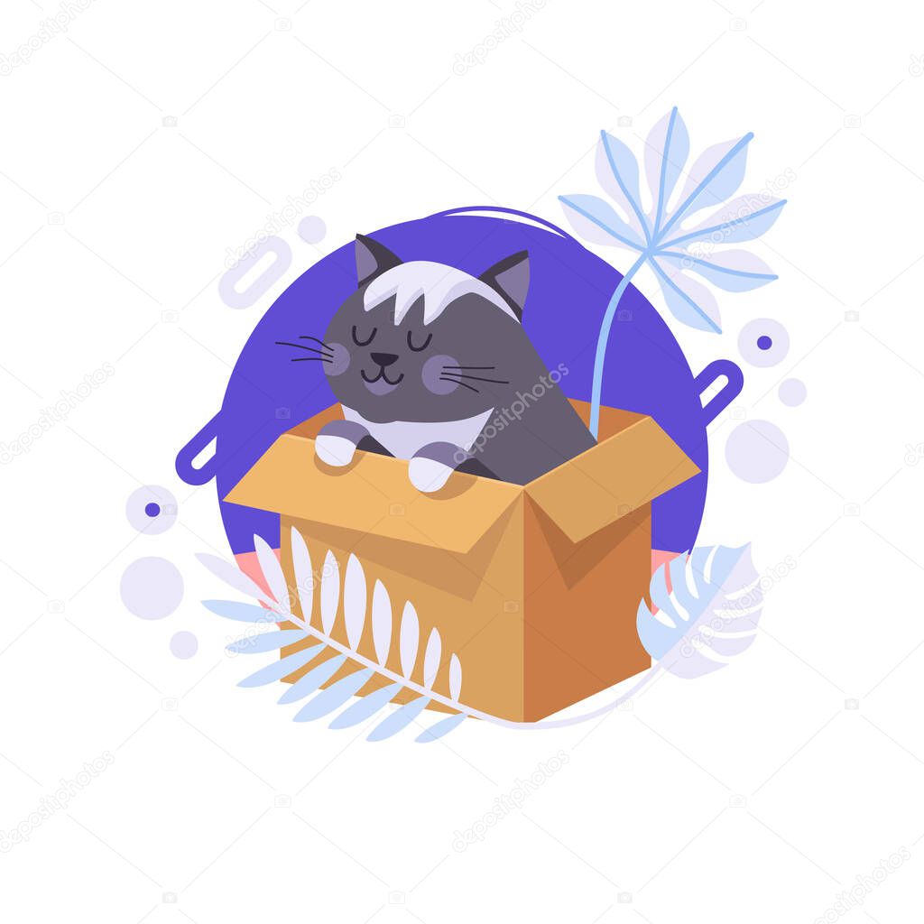 Cartoon cat staying in the box and thinking about life meaning. British cat can be delivered to someone's home. Completed and isolated vector illustration.