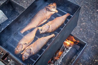 Mini bir tütsühanede kendi ellerinle pişmiş sıcak balık çok doğal ve lezzetli bir lezzettir.