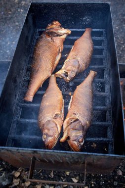 Mini bir tütsühanede kendi ellerinle pişmiş sıcak balık çok doğal ve lezzetli bir lezzettir.