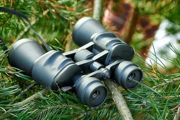 Binoculars are an excellent optical device for searching and observing during hunting, survival, and tracking Stock Photo