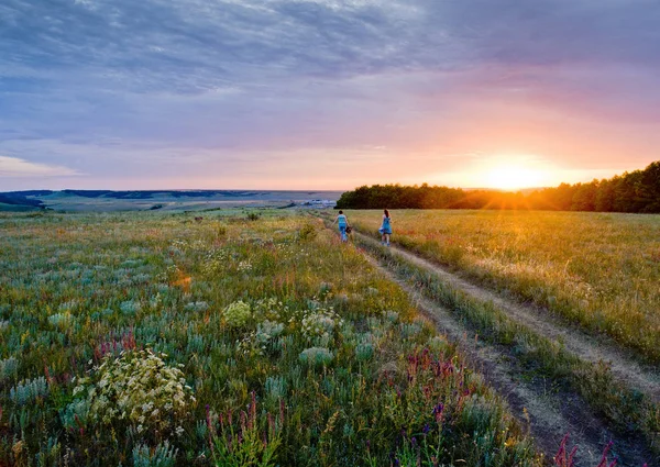 Sunset in the steppe. Russia.