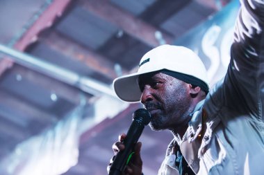 Pato Banton Vahşi kaz Festivali'nde yakın çekim