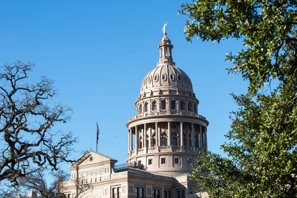 Texas State Capitol Dome with Trees — Stock Photo, Image