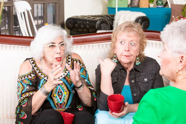 Zwei Ältere Frauen Reagieren Auf Unerwünschten Klatsch Oder Eine Geschichte — Stockfoto