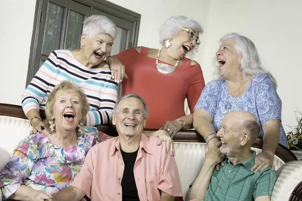 Seis Divertidos Amigos Mayores Riendo Voz Alta Alrededor Sofá Antiguo —  Fotos de Stock