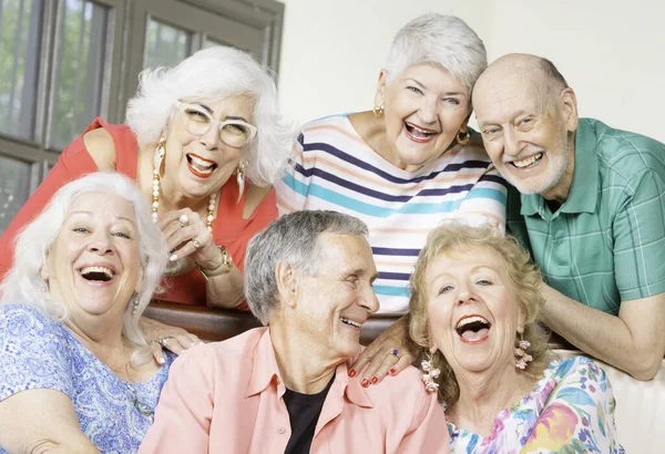 Zes Senior Vrienden Lachen Plezier Maken — Stockfoto