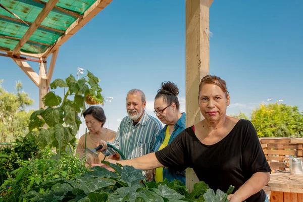 Olika Seniorer Som Arbetar Tillsammans Gemensam Trädgård — Stockfoto