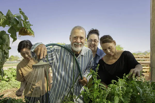 Rozmanitá Seniorská Skupina Spolupracující Při Péči Komunitní Zahradu — Stock fotografie