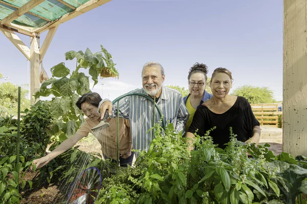 Diverse Senioren Samen Verzorgen Een Gemeenschappelijke Tuin — Stockfoto