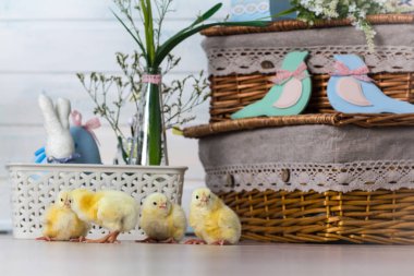 tavuk ile natürmort