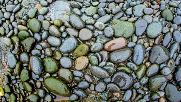 Pedras molhadas na praia — Fotografia de Stock