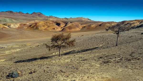 Кольорові гори Алтай — стокове фото