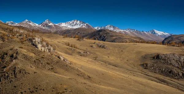 Die schneebedeckten Gipfel des Altai — Stockfoto