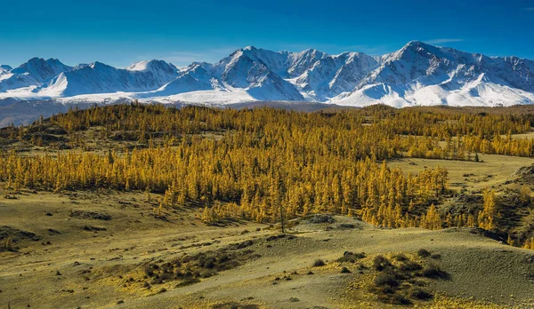 Os picos nevados das montanhas Altai — Fotografia de Stock