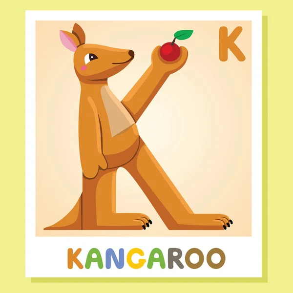 K is for Kangaroo. Letter K. Kangaroo, cute illustration. Animal alphabet. — Stock Vector