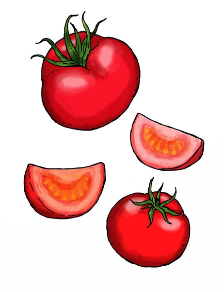 Ilustración Tomate Rojo Entero Junto Unas Rodajas Otro Tomate Cortado —  Fotos de Stock
