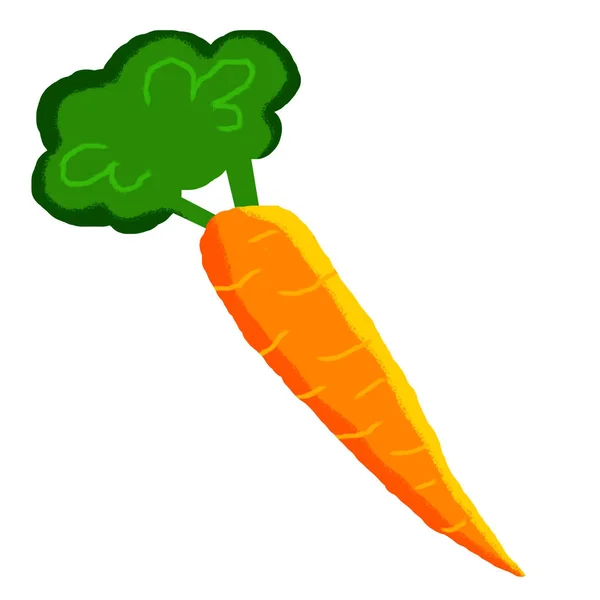 Ilustração Agradável Engraçada Uma Cenoura Laranja Com Suas Folhas Verdes — Fotografia de Stock
