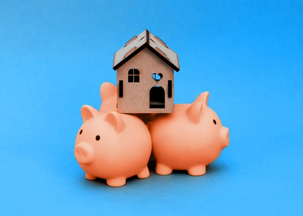 Three Pink Piggy Banks House Back Isolated White Background — Stock Photo, Image