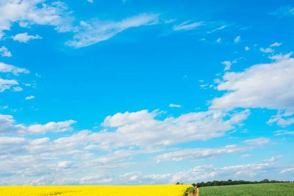 Белый Циррус Пернатые Облака Против Весеннего Ярко Голубого Облачного Неба — стоковое фото
