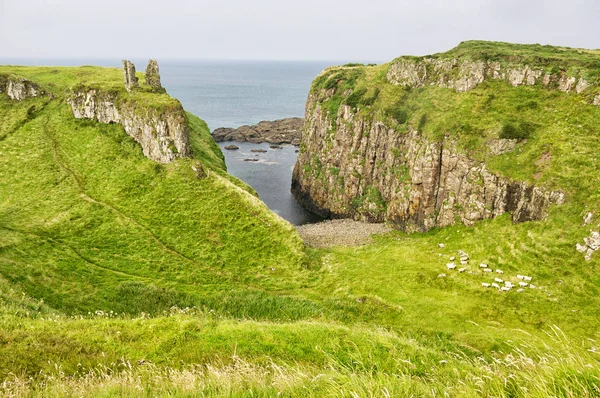 Kayalık İrlandalı sahil