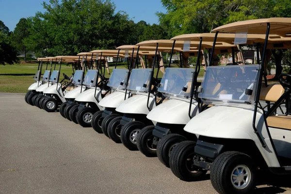 Golf Cart For Rent