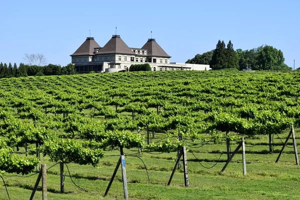 Kuzey Gürcistan mahzeninde